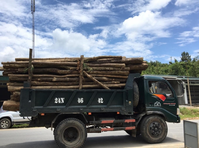 Nhiều phương tiện vi phạm bị lực lượng chức năng tiến hành kiểm tra, xử lý.
