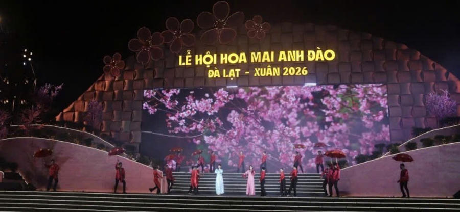 Sân khấu khai mạc Lễ hội hoa mai anh đào - Đà Lạt xuân 2026 rực rỡ ánh sáng và hình ảnh hoa mai anh đào tại Quảng trường Lâm Viên. Ảnh: Q.S