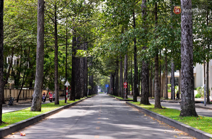 Phố Ngô Gia Tự vắng vẻ đến lạ lùng, cảnh tượng này vốn chỉ có ngày Tết nguyên đán người ta mới có dịp nhìn thấy.