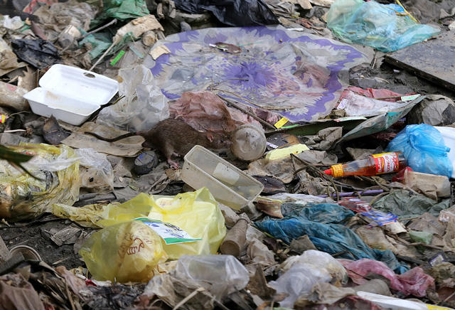 Người dân vứt các loại rác từ chai lọ, túi nilon... lấp kín dòng sông.