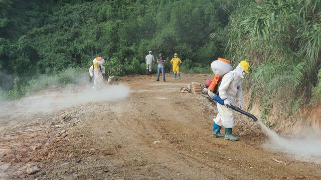 Khử trùng, thả