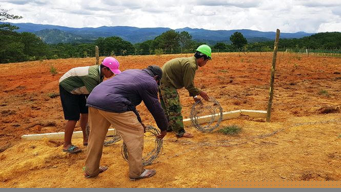 Tháo gỡ hàng rào kẽm gai “phân lô” đất rừng phòng hộ.