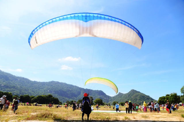 Các phi công bay ở sân đua bò