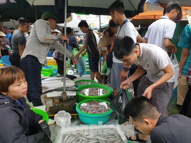 Nhiều người tỏ ra bất ngờ khi thấy mực vẫn đang sống bơi tung tăng trong chậu.