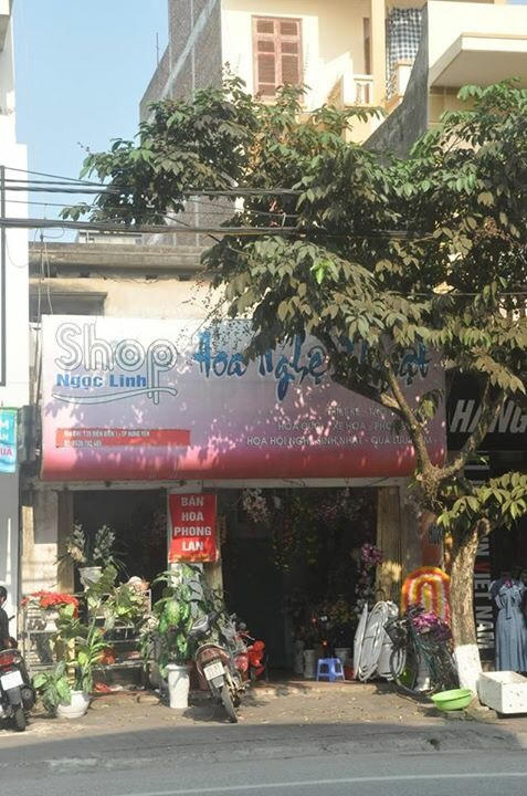 Suốt 30 năm qua, ông Dũng đi đòi lại phần diện tích đất tại số 139 đường Điện Biên 1, TP Hưng Yên.