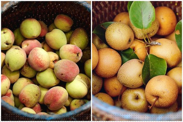 Điều Tâm An ấn tượng nhất với Sa Pa là khung cảnh thiên nhiên hùng vĩ, tươi đẹp “như một nàng thơ”.