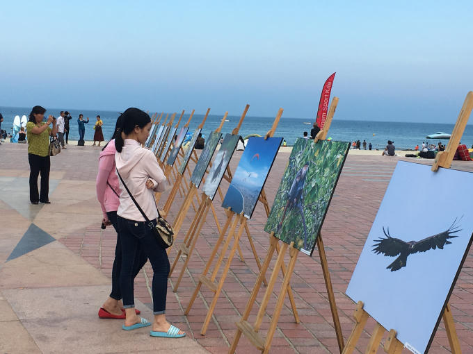 Triển lãm tranh vẻ đẹp của Sơn Trà nói riêng và Đà Nẵng nói chung được du khách quan tâm.