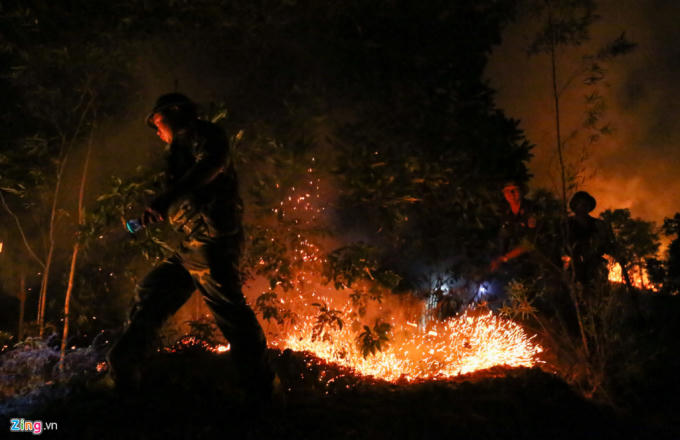 Với các đám cháy nhỏ, lực lượng chức năng dùng cây tươi để dập.