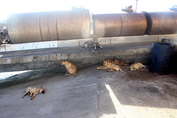 Đội đặc nhiệm đêm tỉnh hơn ngày ở Trường Sa