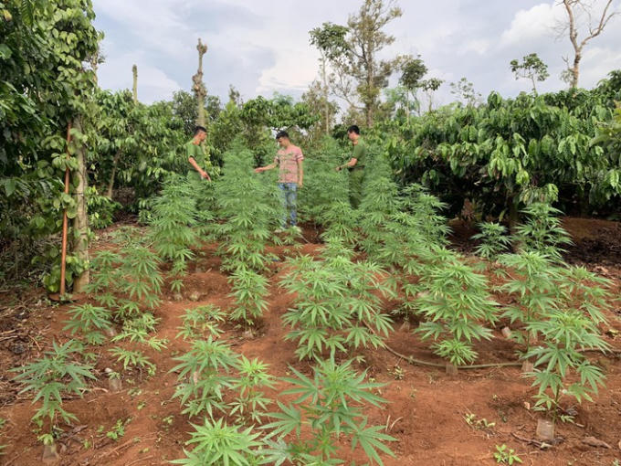 f9e7ccd9859a6cc4358b