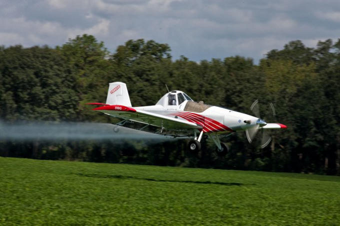 Anh225.