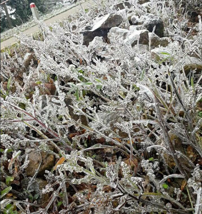 Bản tin Facebook ngày 2/12: “Chi Pu đi hát” chủ đề bàn tán chưa bao giờ nguội của cư dân mạng