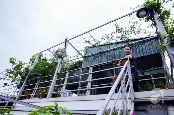 Cô Liên tự hào vì có vườn rau xanh, sạch và đẹp như vậy.