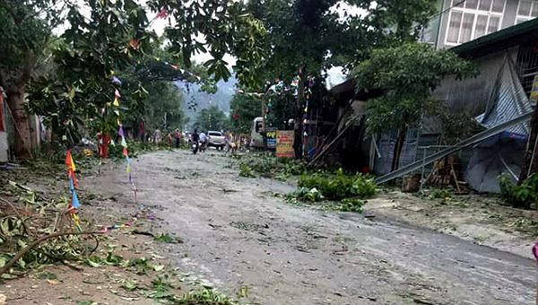 Cây cỗi ngã đổ khiến nhiều xe máy, ô tô bị cành cây đè