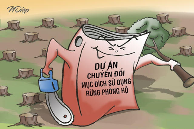 duanbiendoirung-1-1605734368382