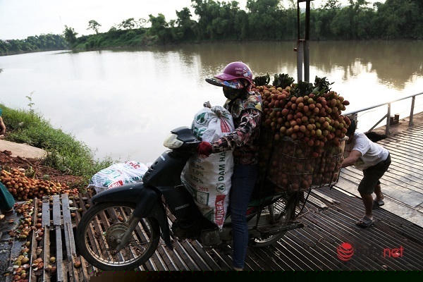 Hai đầu cầu phao có độ dốc lớn, nhiều xe chở hàng nặng phải nhờ người đẩy giúp khi lên dốc.
