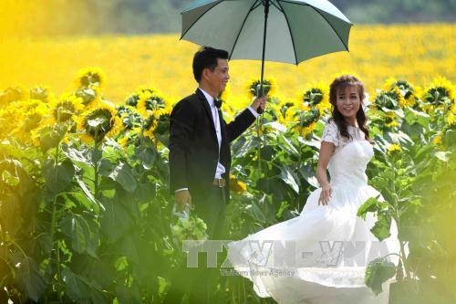 Nhiều cặp đôi chọn nơi đây để lưu giữ khoảnh khắc hạnh phúc. (Ảnh: TTXVN).