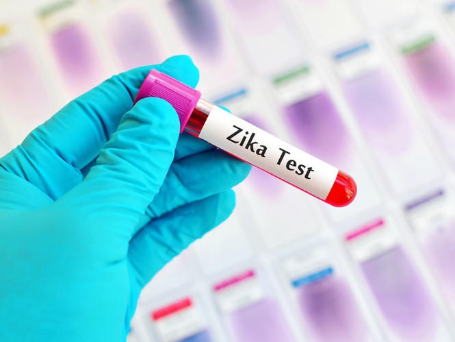 Virus Zika đã có kháng thể? (Ảnh: Reuters)