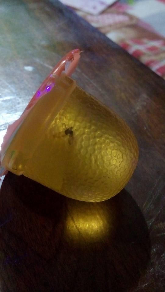 Đại diện công ty TNHH đã xác nhận chiếc thạch này là sản phẩm do công ty sản xuất và phân phối.