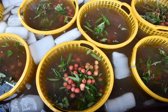 Quả vải sẽ th&acirc;m đen một ng&agrave;y sau khi h&aacute;i, nhưng nếu được ướp lạnh, c&oacute; thể giữ được độ tươi tới v&agrave;i ng&agrave;y.