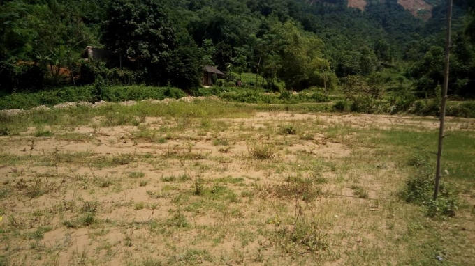 Nhiều ruộng lúa, ao cá của bà con không thể canh tác hơn 1 năm nay.