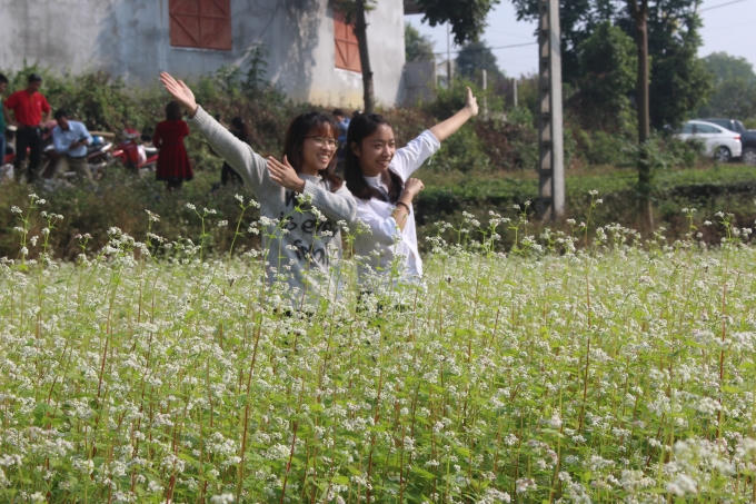 Giới trẻ hào hứng check in tại vườn hoa.