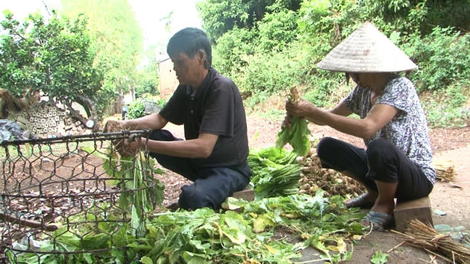 Những người hàng xóm tới phụ giúp gia đình