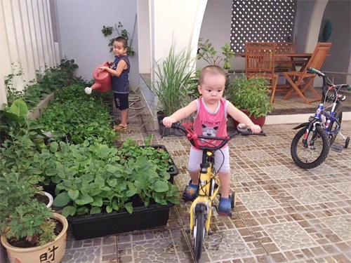 2 cậu con trai kháu khỉnh bên vườn rau của mẹ.