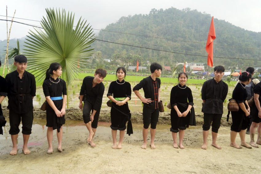 Những cô gái, chàng trai trong phần thi cấy lúa.