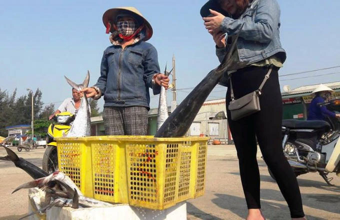 Người dân ngay lập tức có mặt tại cảng Cửa Sót để thu mua toàn bộ số cá trên.
