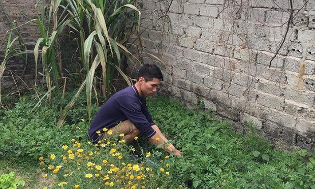 Đ&ocirc;ng Anh, H&agrave; Nội: V&agrave;o t&ugrave; v&igrave; tranh chấp đất ruộng