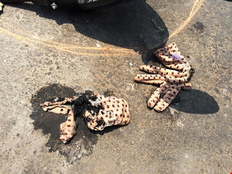 Đôi găng tay bị cháy sém do chất lỏng văng vào.