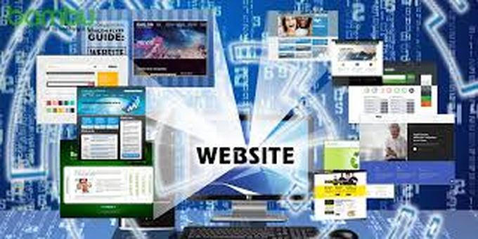 Thương vụ tại H&agrave; Lan cảnh b&aacute;o c&aacute;c doanh nghiệp t&igrave;m đối t&aacute;c th&ocirc;ng qua mạng Internet