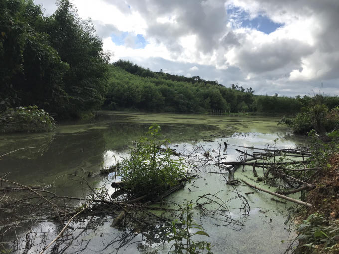 Nếu có mưa lớn, nước thải từ các hồ sẽ được tràn một cách tự nhiên xuống phía dưới nơi hàng chục hộ dân sinh sống.
