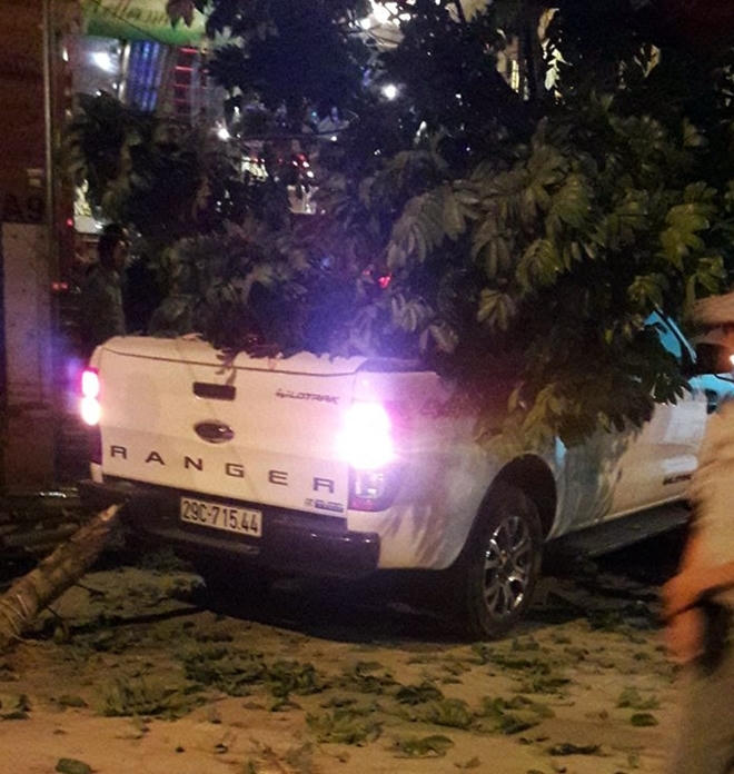 Chiếc bán tải tông đổ cây xanh trên vỉa hè. Ảnh: Việt Yên