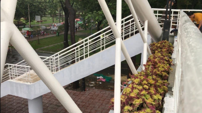 Việc cầu vượt bộ hành đi vào hoạt động sẽ giúp giao thông qua khu vực được thông thoáng hơn