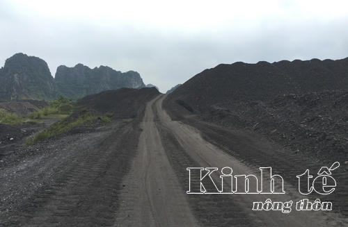 Khu vực Công ty tuyển than Cửa Ông đổ đá xít uy hiếp vịnh Bái Tử Long.
