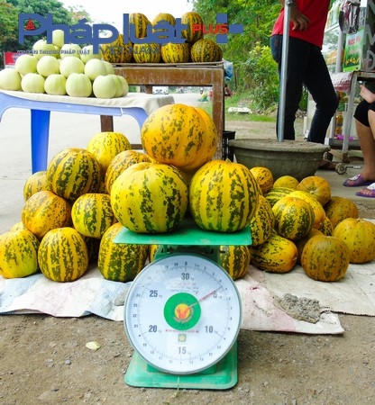 Đầu mùa, các hộ kinh doanh bán cho khách hàng với giá khoảng 10 - 15.000 đồng/kg .