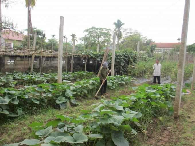 Người dân xã Tân Đức thấy được những lợi ích mà mô hình này mang lại đặc biệt là vấn đề sức khỏe. (ảnh: Thu Hường)