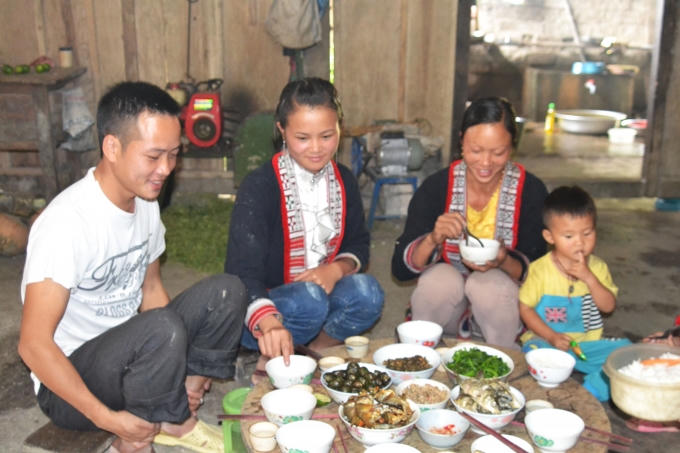 Chùm ảnh: Hoàng Su Phì vào mùa cá chép ruộng