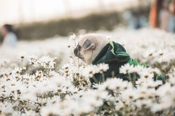 Cộng đồng mạng