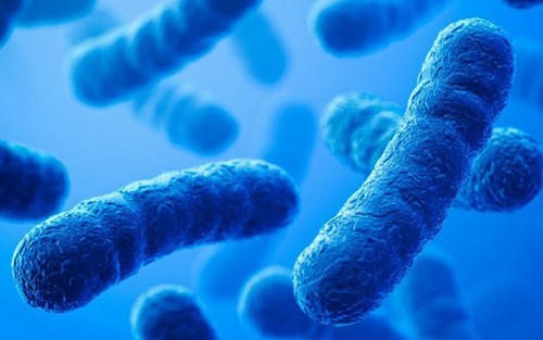 Sự trỗi dậy của vi khuẩn kháng kháng sinh đang làm "đau đầu" các nhà khoa học. Ảnh minh họa