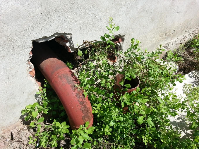 Ống nước bị cỏ cây mọc che lấp, hoen rỉ.