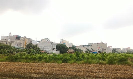 Những ngôi nhà kiên cố “mọc” trên đất nông nghiệp.