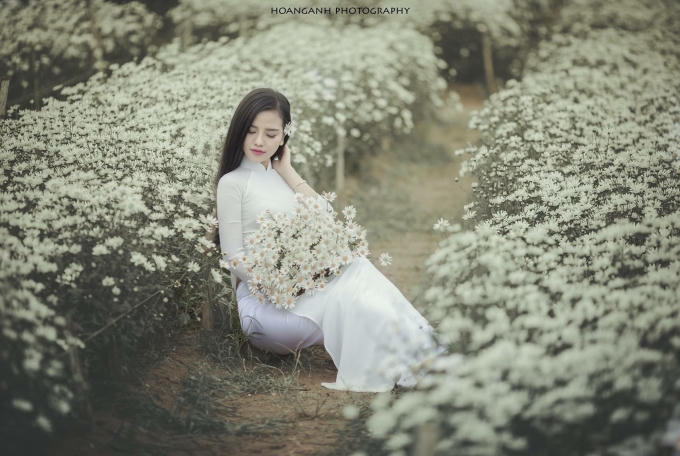 Nguyễn Mai Phương (SBD 183) sinh ngày 14/10/1992 đến từ Nghệ An. Mai Phương cao 1m65, cân nặng 51kg, số đo 86 - 62 - 92.