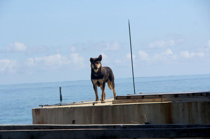 Đội đặc nhiệm đêm tỉnh hơn ngày ở Trường Sa