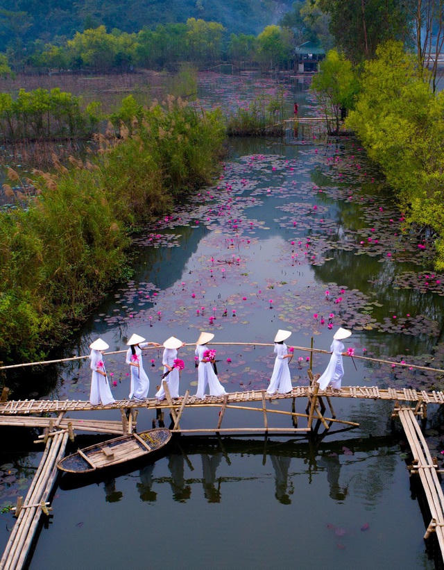 Bức ảnh giành chiến thắng chung cuộc có tên “Water lily season” (Mùa hoa súng) của tác giả @quytran đến từ Việt Nam