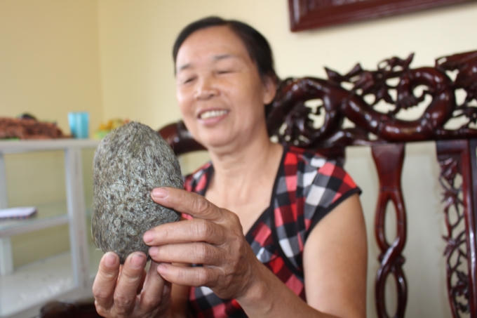 Hi&ecirc;̣n tại v&acirc;̣t nghi là Cát Lợn đang được gia đình bà c&acirc;́t giữ c&acirc;̉n th&acirc;̣n. (Ảnh: Văn Lịnh).