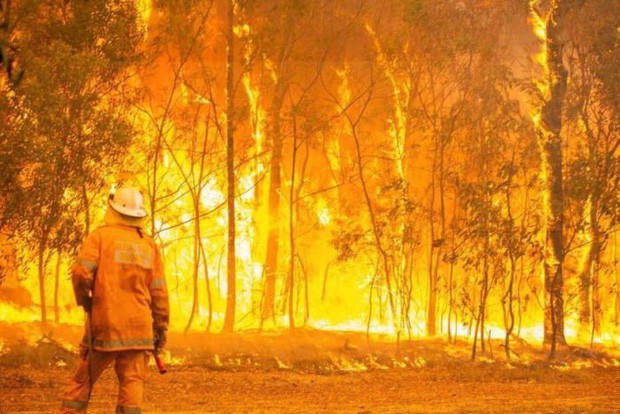 Một đám cháy rừng ở Australia. Ảnh: ABC.