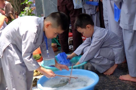 Hay ra đồng lắng nghe chia sẻ của bác nông dân về sự vất vả để làm ra hạt gạo. (Ảnh: Dương Phạm/Vietnam+)